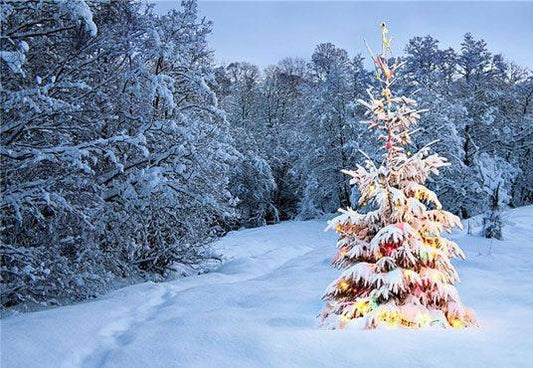 Winter Tree Backdrop for Snow Forest