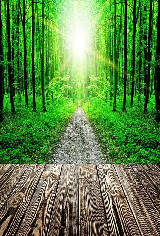 Green Forest Road And Sunshine Backdrop Photography Background