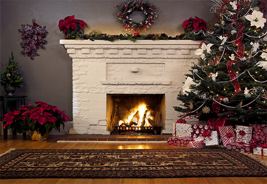 Indoor Christmas Fireplace Photography Backdrop SBH0249
