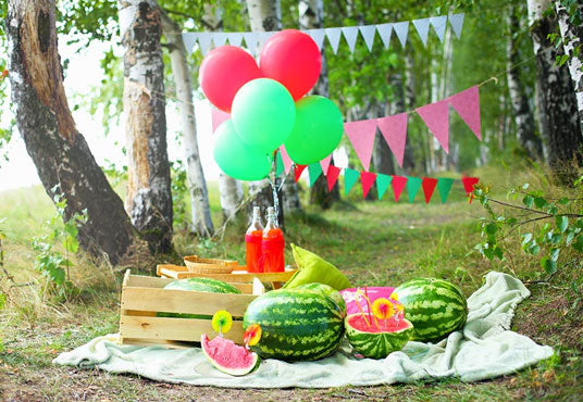 Watermelon Flag Garden Summer Backdrop for Photo Prop