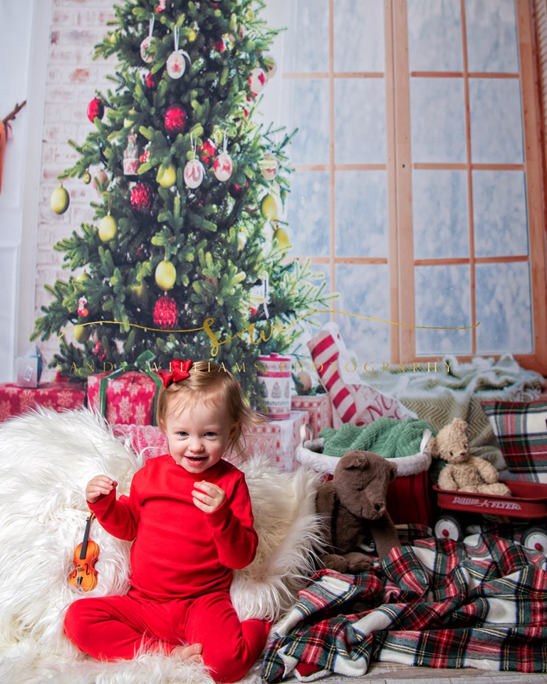 Buy Window Christmas Photo Studio Backdrop Online – Starbackdrop