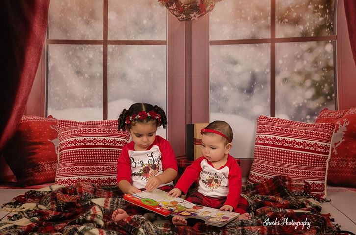 Window Christmas Photography Backdrops for Picture
