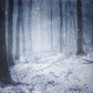 Snowflake Forest Photo Backdrop Winter Background