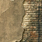 Obsolete Weathered Old Wall Urban Decay Backdrop for Photography SBH0165