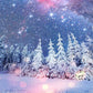Snowflake Winter Photo Backdrop