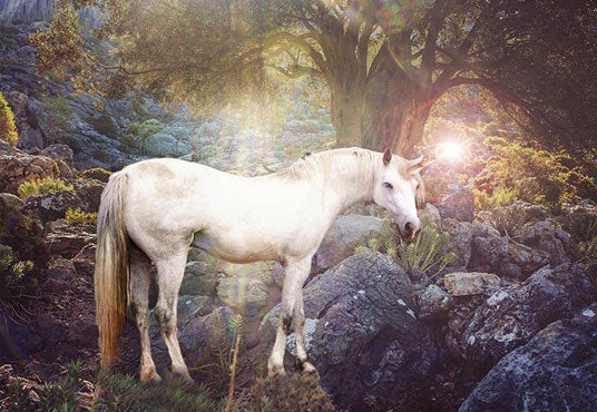 Beautiful Secret Forest White Unicorn Backdrops for Photography Background