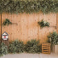 Wood Wall Green Plant Spring Backdrops for Picture