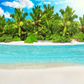 Beach Blue Sea Tropical Tree Backdrop for Photo Studio