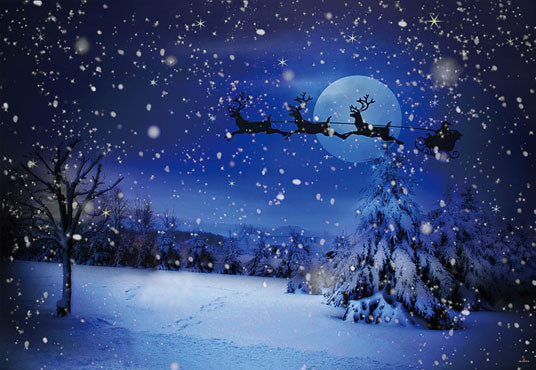 Night of Christmas Santa Claus Winter Snow Backdrops
