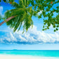 Seaside Blue Sea And Coconut Trees For Summer Holiday Backdrop