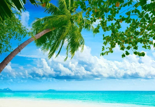 Seaside Blue Sea And Coconut Trees For Summer Holiday Backdrop
