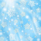 Winter Glitter Snowflake Bokeh Sunlight Blue Backdrop for Photography