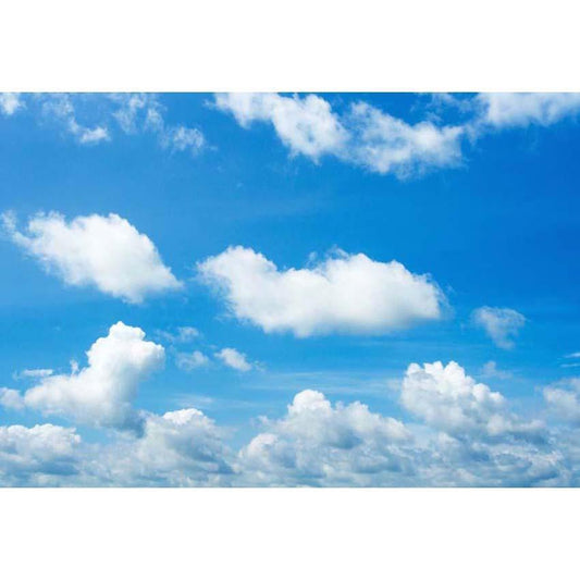 Blue sky and White Clouds Backdrop  For Party Photography