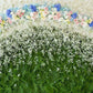 White Flowers Green Leaves Floral Bridal Backdrop for Wedding Decoration Kids Children Photography