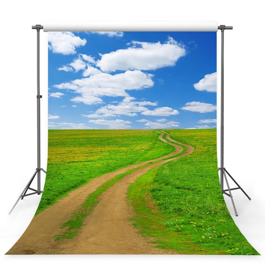 Great Grassland Footpath Backdrop Nature Photography Background