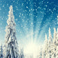 Snowflake Blue Sky Pine Photography Backdrop