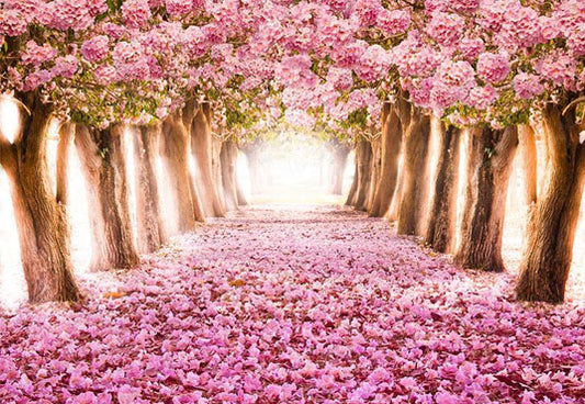 Romantic Pink Flowers Road Backdrop Intoxicating Photography Background