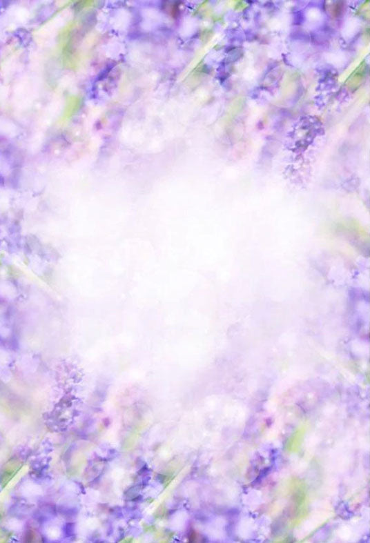 Bokeh Purple Flowers Under Sunshine Photography Backdrop