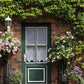 Green Door Surrounded By Green Leaves And Flowers Backdrop For Photography