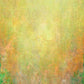 Yellow Orange Green Abstract Photo Background Portrait Backdrop