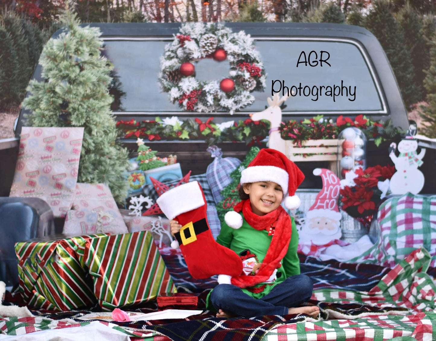 Merry Christmas Mini Session Photography Backdrop for AGR Photography