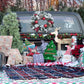 Merry Christmas Mini Session Photography Backdrop for AGR Photography