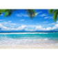 Blue Sky Ocean Coconut Leaves Backdrop Beautiful Seaside Scenery Background
