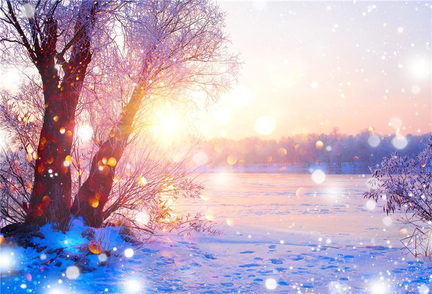 Bokeh Sunset Winter Nature Photography Backdrop for Studio
