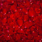 Red Rose Petal Bridal Shower Photography Backdrops