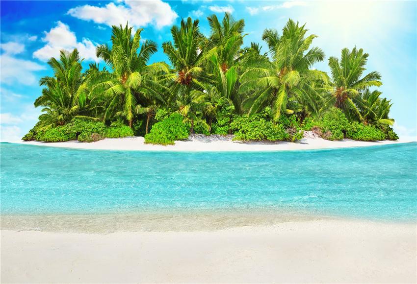 Beach Blue Sea Tropical Tree Backdrop for Photo Studio