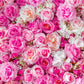 Pink Rose Flowers Wall Backdrop for Wedding