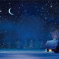 Winter Night Of Snow Glitter Star Backdrop for Photography