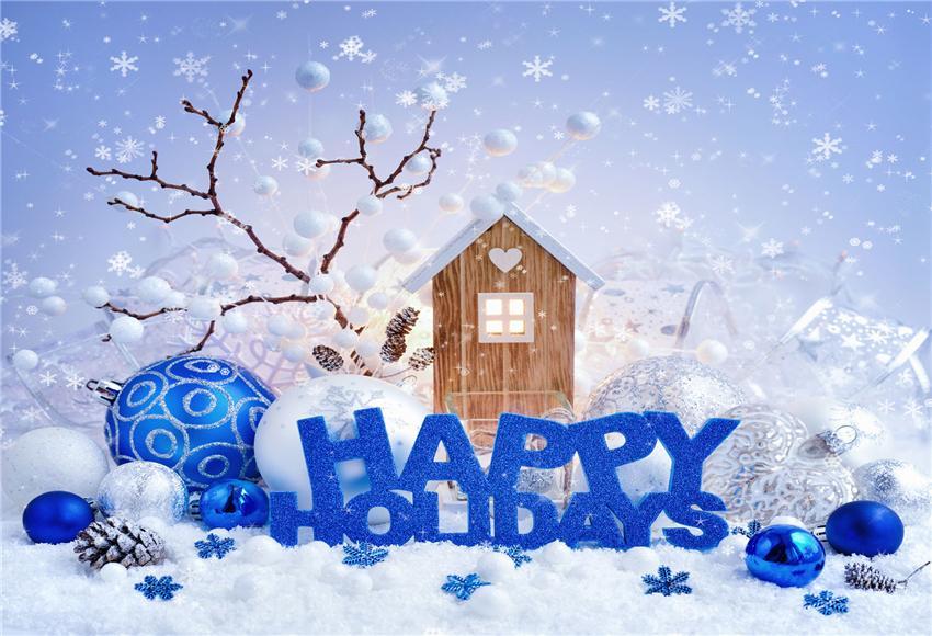 Happy Holiday Winter Snow Backdrop for Picture