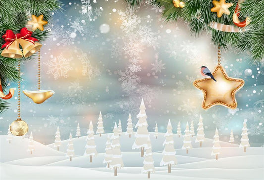 Christmas Snowflake Photography Backdrops