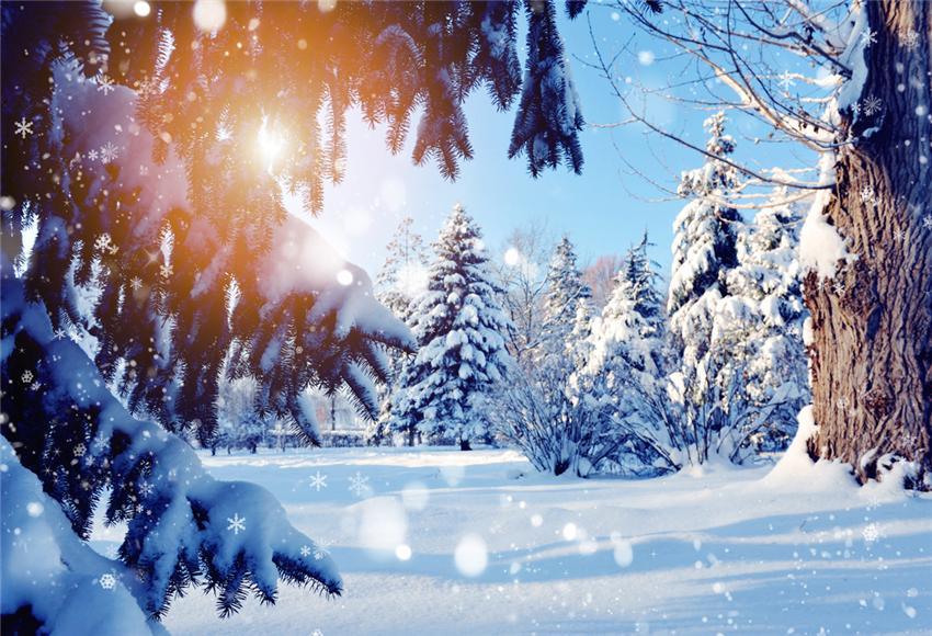 Snow Winter Forest Photography Backdrops for Picture