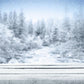 Winter Snow Wood Floor Photo Backdrops for Picture