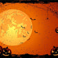 Orange Halloween Spider Web Photo Backdrop for Photography