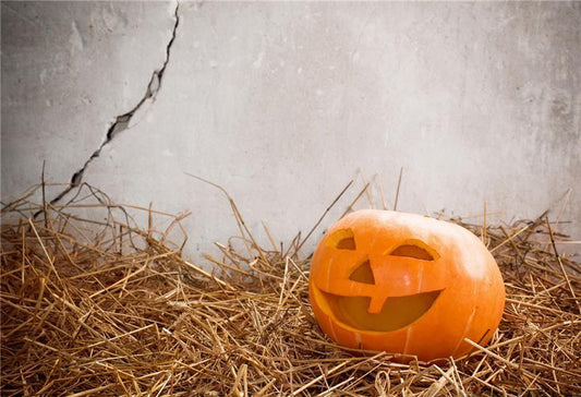 Haystack Halloween Pumpkin Photo Studio Backdrop