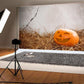 Haystack Halloween Pumpkin Photo Studio Backdrop