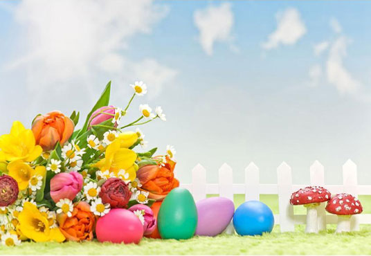 Colorful Easter Eggs With Yellow Flowers Background Green Grass Photography Backdrops