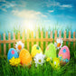 Blue Sky Wood Fence Pearl Eggs Photo Backdrop for Easter