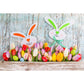 Cute Rabbit Colorful Eggs and Flowers Before Wood Wall Backdrop For Easter photography