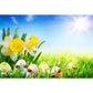 Easter Eggs and Yellow Flowers Background Green Grass Under Sunshine Photography Backdrop
