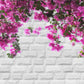 Pink Flowers With White Brick Wall Backdrop For Photography
