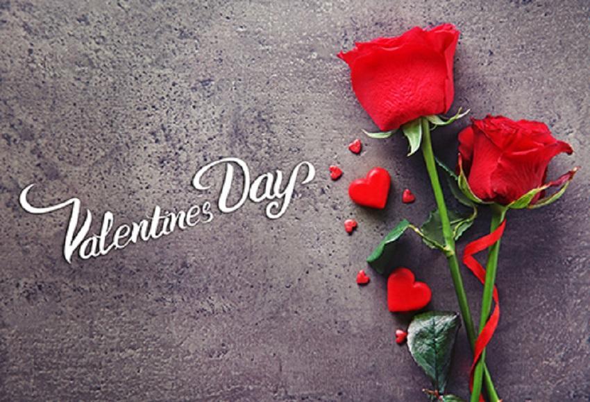 Red Flower Photography Background For Celebrate Happy Valentine's Day