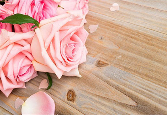 Pink Carnation Flowers On  Wood Floor Backdrop For Mother's Day Photography