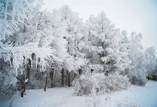 Winter Snow Branches Backdrops