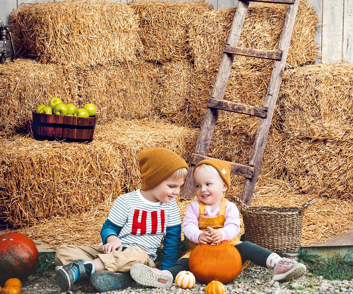 Wooden Straw Autumn Photography Backdrop