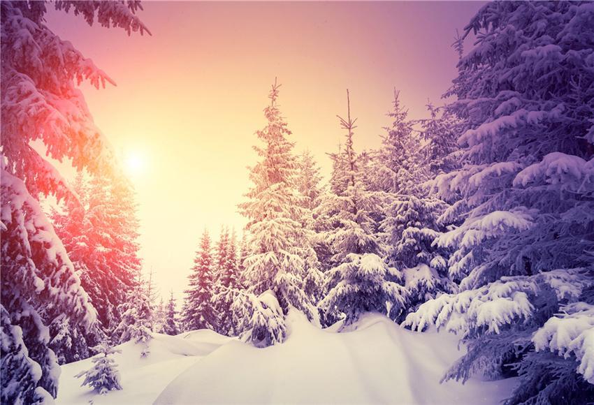 Winter Sunset Photography Backdrops