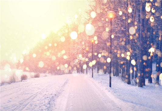 Bokeh Glitter Winter Snow Forest Backdrop